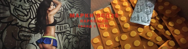 тгк Кулебаки